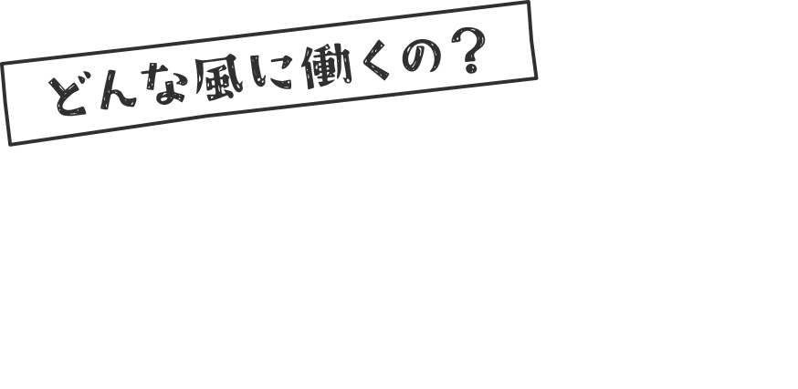 どんなふうに働くの？先生の1日を動画で