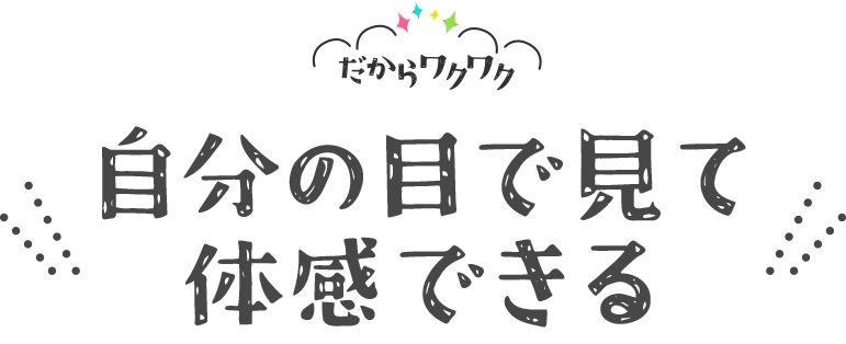 自分の目で見て体感できる